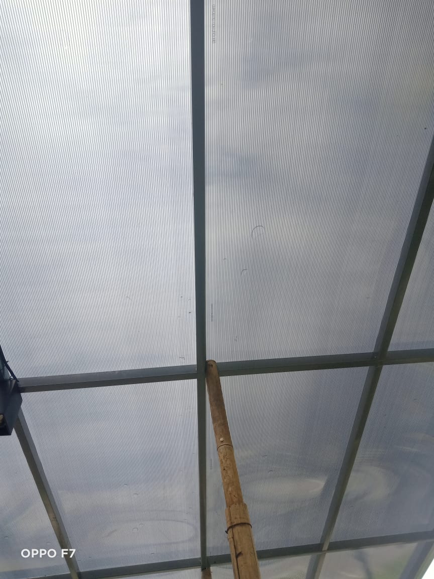 Jasa Pembuatan Kolam Renang Skimmer di Bali